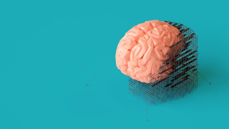 the Brain